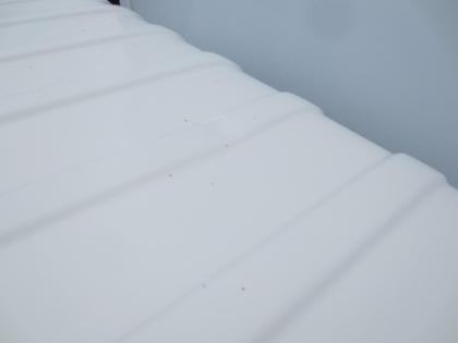 ʐ^18