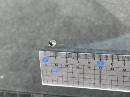 ʐ^20