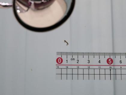 ʐ^18