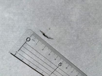 ʐ^17
