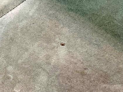 ʐ^13