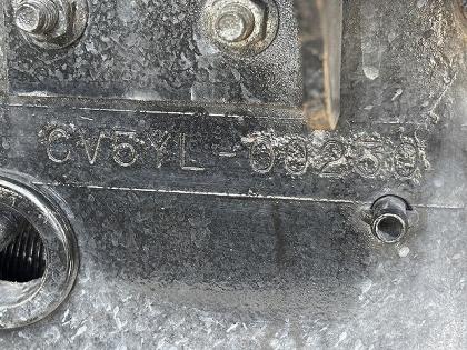ʐ^19