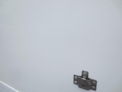 ʐ^19