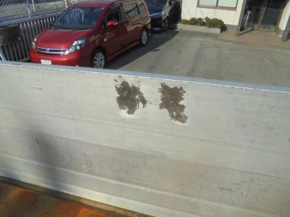 ʐ^14