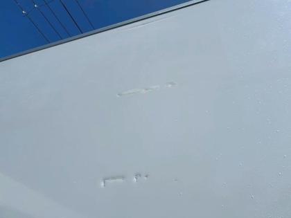 ʐ^19