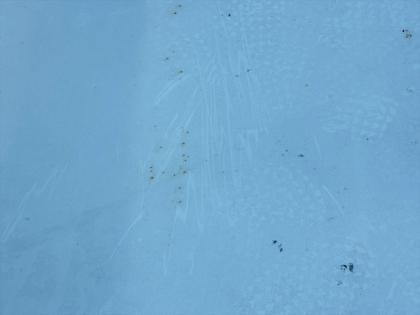 ʐ^12