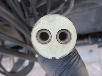 �ʐ^9