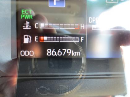 �ʐ^13