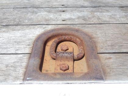 �ʐ^13