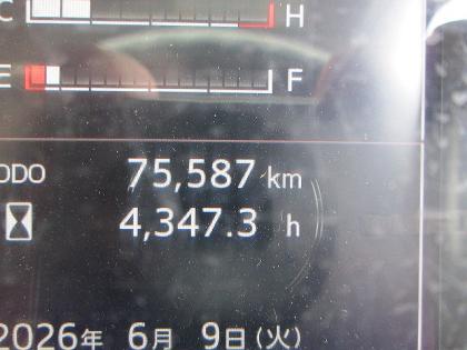 �ʐ^29