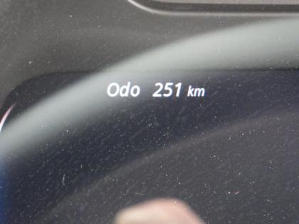 �ʐ^19