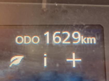 �ʐ^22