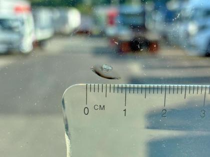 �ʐ^18