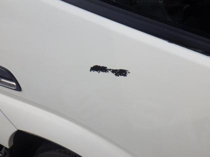 �ʐ^15