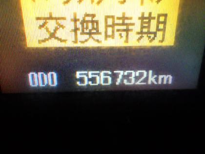 �ʐ^16