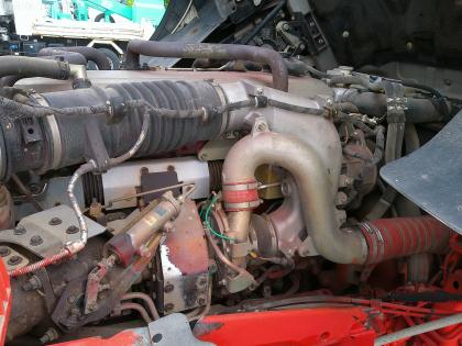 �ʐ^19