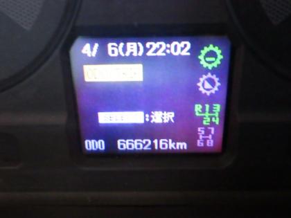 �ʐ^19