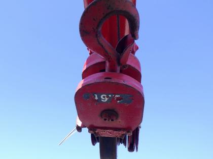 �ʐ^13